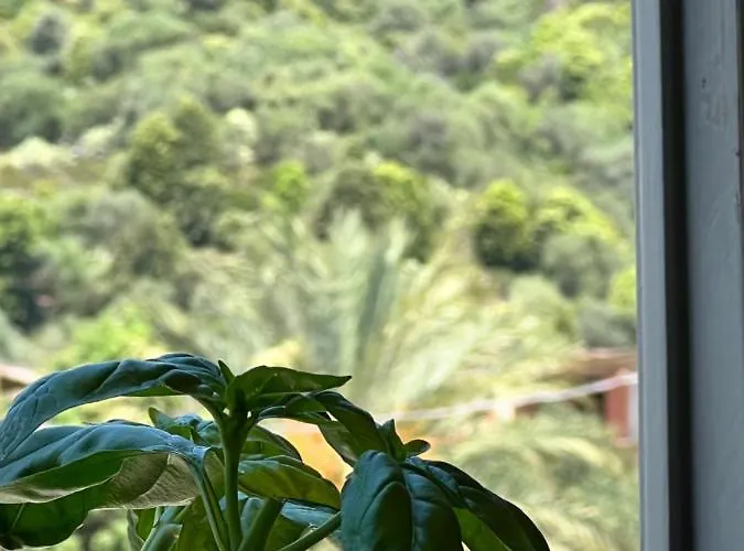 Sa Dommu De Funtanedda - Affitti Brevi Italia Apartment *
