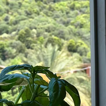 Sa Dommu De Funtanedda - Affitti Brevi Italia Apartment *